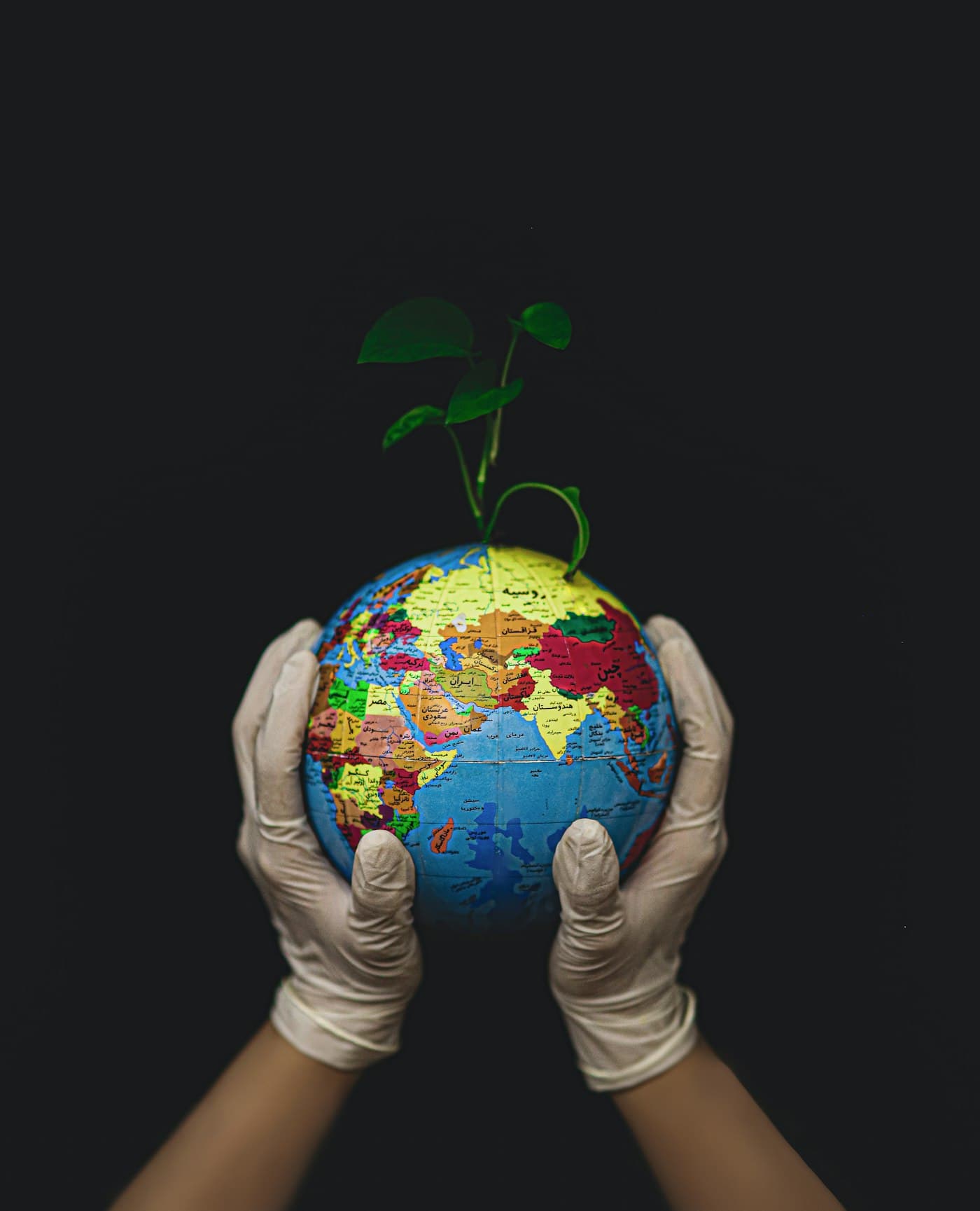 Hands holding a small globe with a green plant growing from it